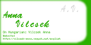 anna vilcsek business card